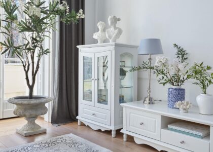 Bemondi Witryna 2 Drzwiowa Victoria 860