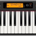 Casio CdpS350 Bk
