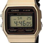 CASIO F91WM-9A