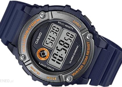 Casio W-216H-2B