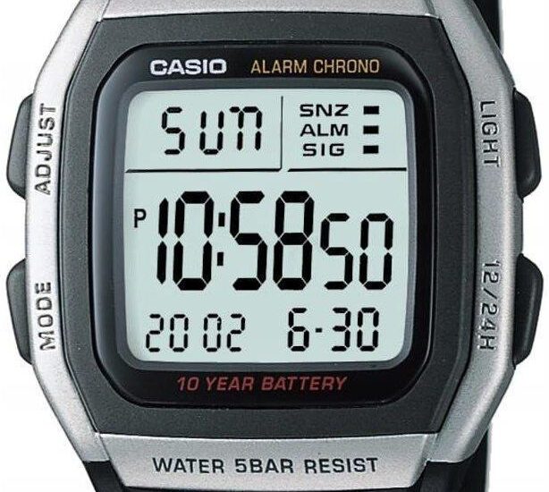 Casio W-96H-1A