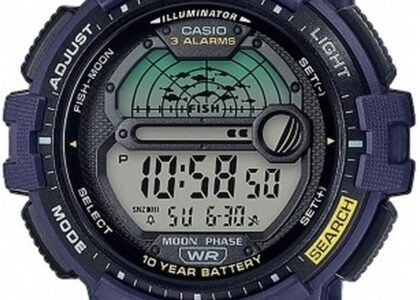 Casio WS-1200H-2AVEF