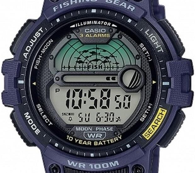 Casio WS-1200H-2AVEF