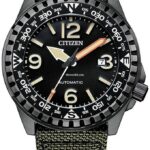 Citizen NJ2197-19E