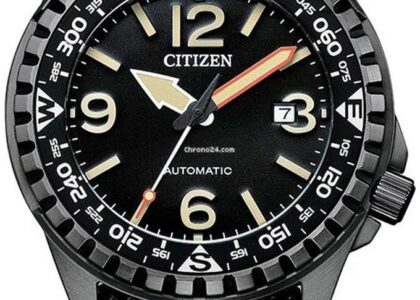 Citizen NJ2197-19E