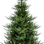 Ekvip Choinka 210 Cm 021810