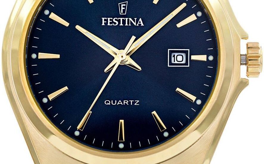 Festina Classic F20555/4