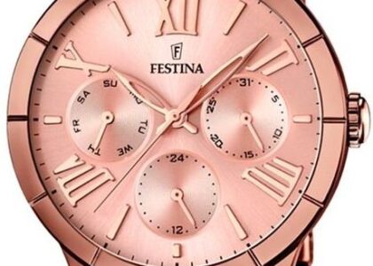 FESTINA F16798/1