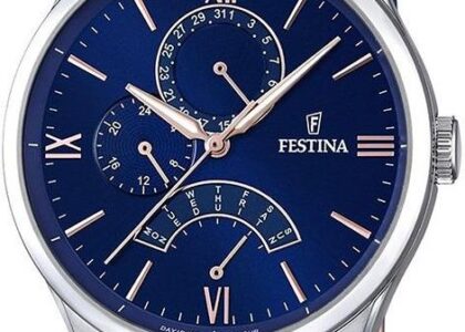 Festina F16823/3