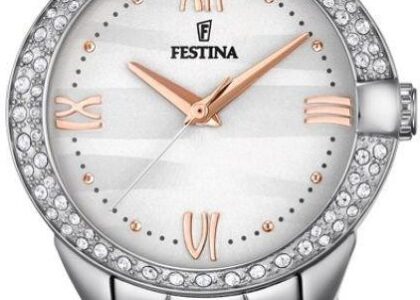 Festina F16919-1