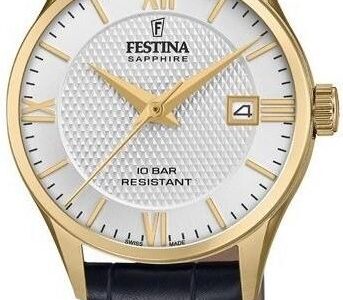 Festina F20011/1