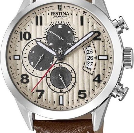 Festina F20271-2