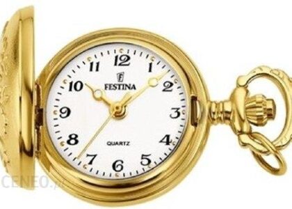 Festina F20331