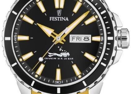 Festina F20378/4