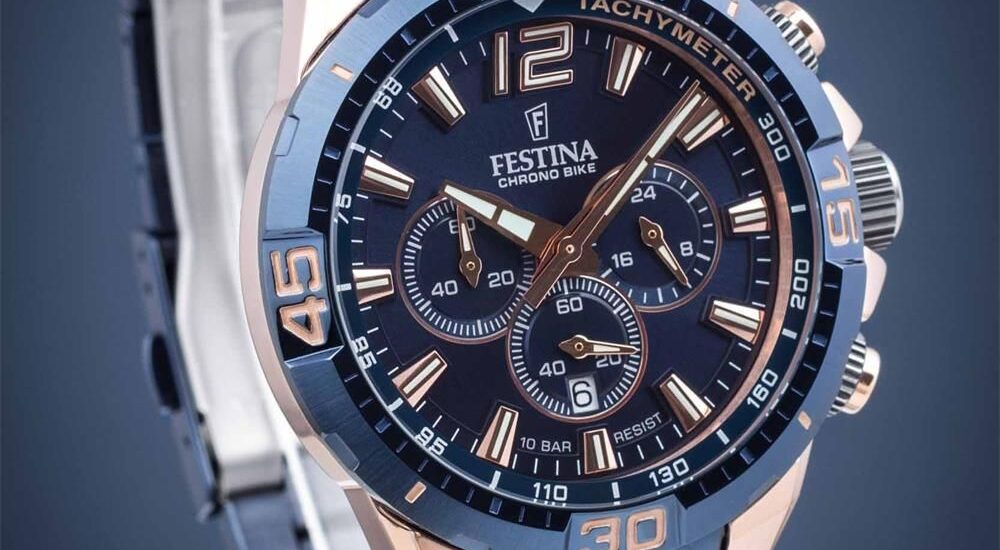 Festina F20524/1