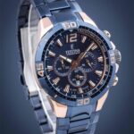 Festina F20524/1
