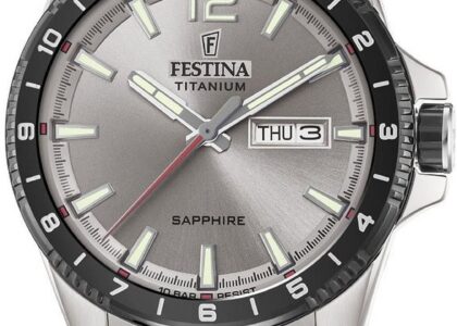 Festina F20529/3