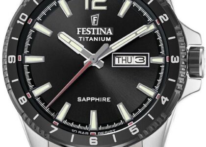 Festina F20529/4