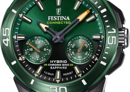 Festina F20646-1