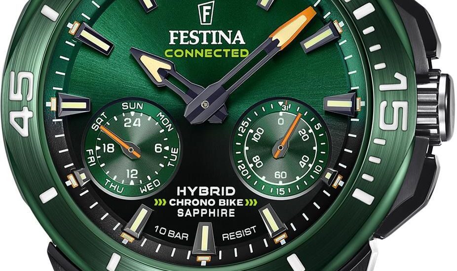 Festina F20646-1