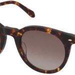 Fossil FOS 2053/S 086/HA