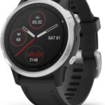 Garmin Fenix 6S Srebrno-Czarny (0100215901)