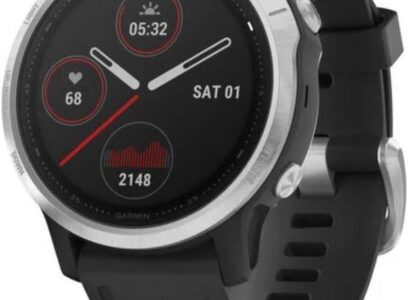 Garmin Fenix 6S Srebrno-Czarny (0100215901)