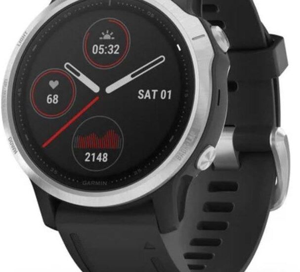 Garmin Fenix 6S Srebrno-Czarny (0100215901)