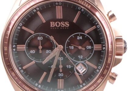 Hugo boss HB1513093