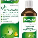 Iberogast 100ml