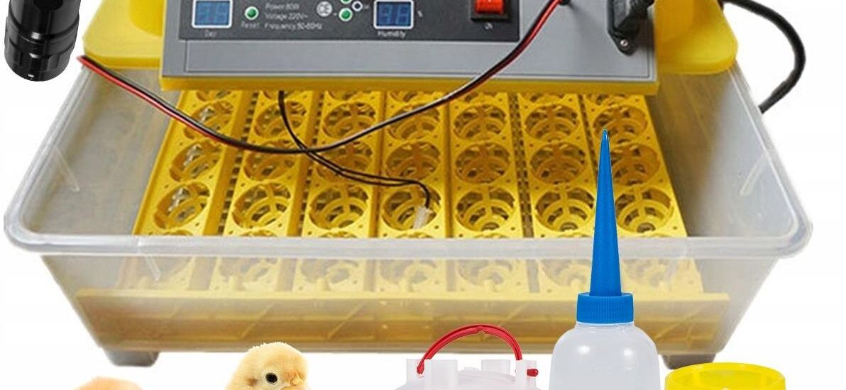 Inkubator Do Jaj Wylęgarka Automatyczna 56 Jaj 80W