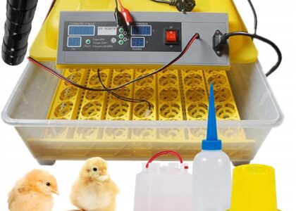 Inkubator Do Jaj Wylęgarka Automatyczna 56 Jaj 80W