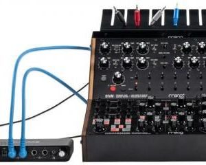 Moog Sound Studio: DFAM & Subharmonicon – zestaw syntezatorów