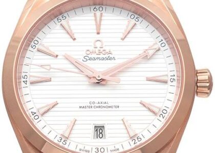 Omega Seamaster Aqua Terra 150M Co-Axial Master Chronometer 41 mm Automatic Silver Dial Gold 22050412102001