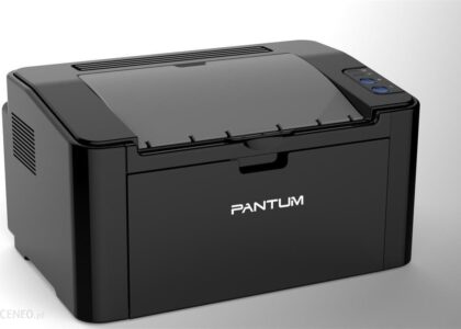 Drukarka Pantum P2500W