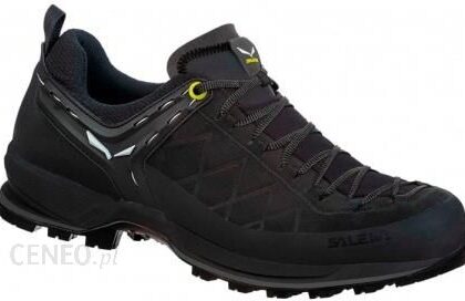 Salewa Mnt Trainer Black