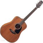 Takamine GD11M-NS