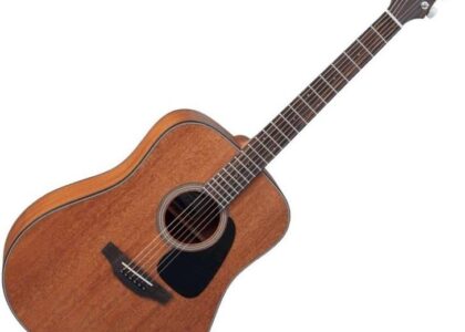 Takamine GD11M-NS