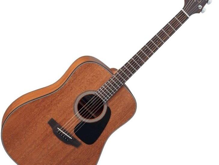 Takamine GD11M-NS