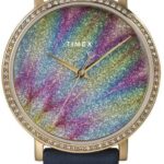 Timex City Collection TW2U40800