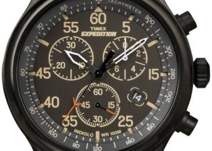 Timex Expedition T49905