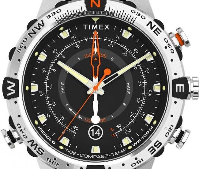 Timex Expedition TW2V22300