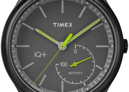 Timex TW2P95100