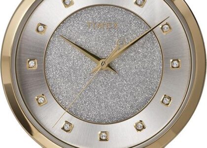Timex TW2U67100