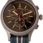 Timex TW2V09700LG