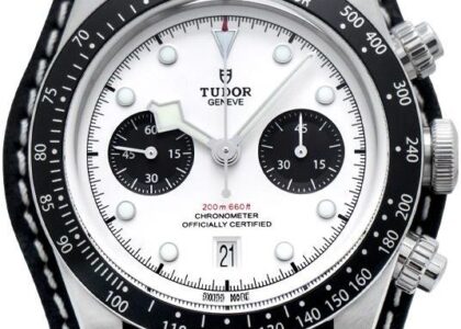 Tudor Heritage Black Bay 79360N-0006