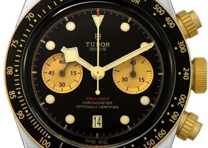 Tudor Heritage Black Bay Chrono S&G Swiss Steel Automatic Dial 79363N0001